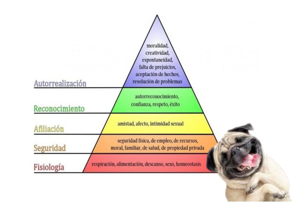 Pirámide de Maslow para la felicidad
